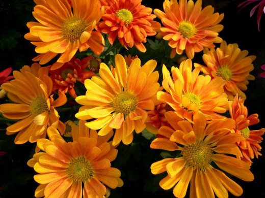537458 (a): :1600x1200